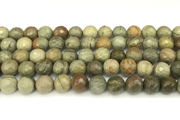 CSL173 15 inches 10mm faceted round silver leaf jasper gemstone beads