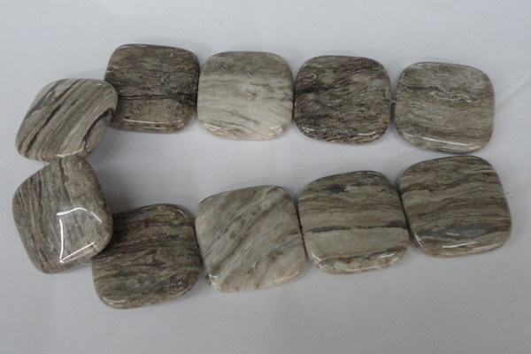 CSL59 15.5 inches 40*40mm square silver leaf jasper beads wholesale