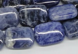 CSO46 15.5 inches 15*20mm rectangle sodalite beads wholesale