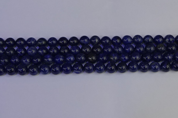 CSO503 15.5 inches 10mm round sodalite gemstone beads wholesale