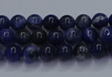 CSO610 15.5 inches 4mm round sodalite gemstone beads wholesale