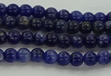 CSO631 15.5 inches 4mm round sodalite gemstone beads wholesale