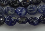 CSO670 15.5 inches 10mm flat round sodalite gemstone beads