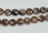 CSS104 15.5 inches 8mm faceted coin natural sunstone beads wholesale