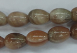 CSS248 15.5 inches 12*16mm teardrop natural sunstone beads