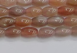 CSS265 15.5 inches 5*8mm rice sunstone beads wholesale