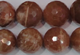 CSS511 15.5 inches 19mm faceted round natural golden sunstone beads