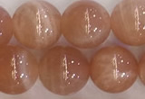 CSS706 15.5 inches 10mm round natural golden sunstone beads