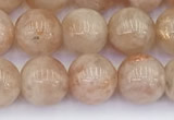 CSS792 15.5 inches 10mm round golden sunstone beads wholesale