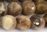 CSS822 15 inches 10mm faceted round sunstone beads