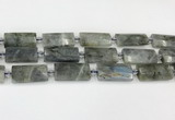 CTB857 13*25mm - 15*28mm faceted flat tube labradorite beads