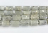 CTB876 13*25mm - 14*19mm faceted tube moonstone beads