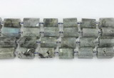 CTB878 13*25mm - 14*19mm faceted tube labradorite beads