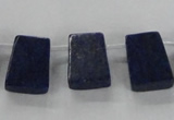 CTD1589 Top drilled 13*18mm trapezoid lapis lazuli gemstone beads