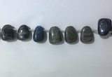 CTD2151 Top drilled 15*25mm - 18*25mm freeform labradorite beads