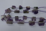 CTD2571 15.5 inches 20*22mm - 25*30mm freeform druzy amethyst beads