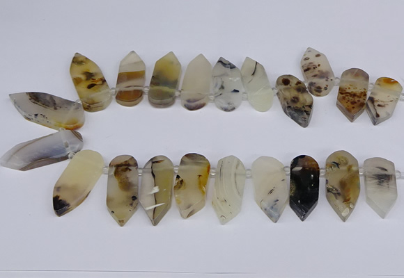 CTD2734 Top drilled 15*28mm - 18*45mm freeform montana agate beads