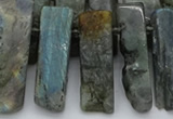 CTD331 Top drilled 10*20mm - 12*35mm sticks labradorite beads