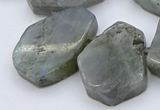 CTD333 Top drilled 15*20mm - 25*30mm freeform labradorite beads