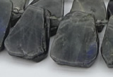 CTD334 Top drilled 15*20mm - 25*30mm freeform labradorite beads