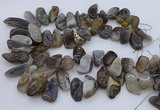 CTD3525 Top drilled 12*20mm - 15*40mm freeform botswana agate beads