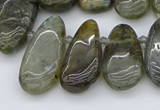 CTD3531 Top drilled 10*22mm - 15*45mm freeform labradorite beads