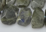 CTD3573 15.5 inches 15*20mm - 18*25mm freeform labradorite beads