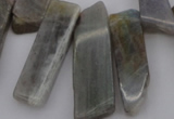 CTD358 Top drilled 10*25mm - 10*50mm wand labradorite beads