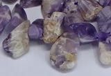 CTD3602 Top drilled 10*14mm - 13*18mm nuggets dogtooth amethyst beads