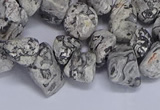 CTD3614 Top drilled 10*14mm - 13*18mm nuggets grey picture jasper beads