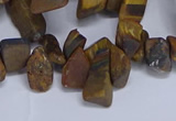 CTD3616 Top drilled 10*14mm - 13*18mm nuggets yellow tiger eye beads