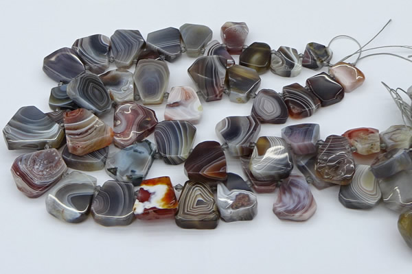 CTD3643 Top drilled 15*20mm - 25*30mm freeform botswana agate beads