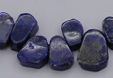 CTD377 Top drilled 10*14mm - 15*20mm freeform lapis lzuli beads