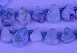 CTD3859 Top drilled 6*8mm - 10*12mm freeform larimar beads