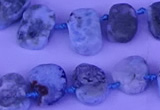 CTD3889 Top drilled 12*16mm - 13*17mm freeform larimar beads