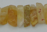 CTD393 Top drilled 6*15mm - 10*35mm wand citrine gemstone beads