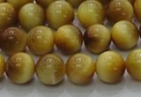 CTE1401 15.5 inches 6mm round golden tiger eye beads wholesale