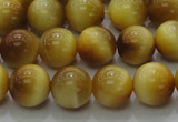 CTE1402 15.5 inches 8mm round golden tiger eye beads wholesale