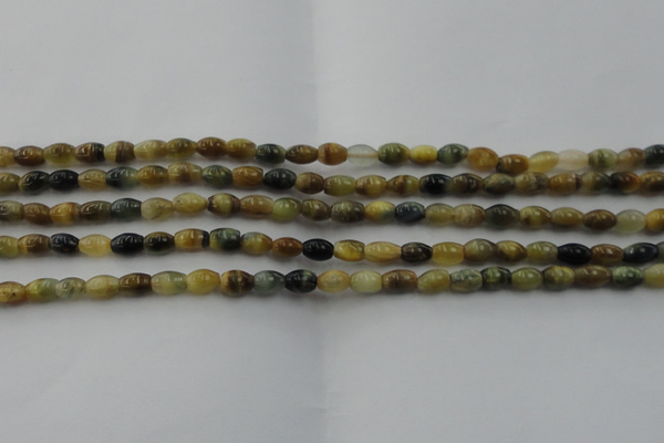 CTE1550 15.5 inches 4*6mm rice golden & blue tiger eye beads wholesale