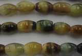 CTE1551 15.5 inches 5*8mm rice golden & blue tiger eye beads wholesale