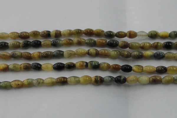 CTE1552 15.5 inches 6*10mm rice golden & blue tiger eye beads wholesale