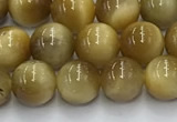 CTE2140 15.5 inches 6mm round golden tiger eye beads wholesale