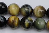 CTE556 15.5 inches 16mm round golden & blue tiger eye beads