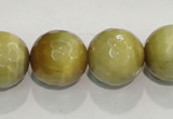 CTE906 15.5 inches 16mm faceted round golden tiger eye beads