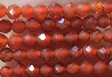 CTG1004 15.5 inches 2mm faceted round tiny red agate beads