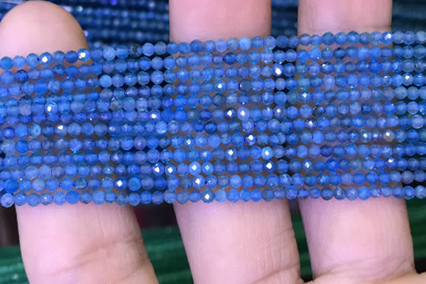 CTG1073 15.5 inches 2mm faceted round tiny apatite beads