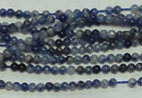 CTG115 15.5 inches 2mm round tiny sodalite gemstone beads wholesale