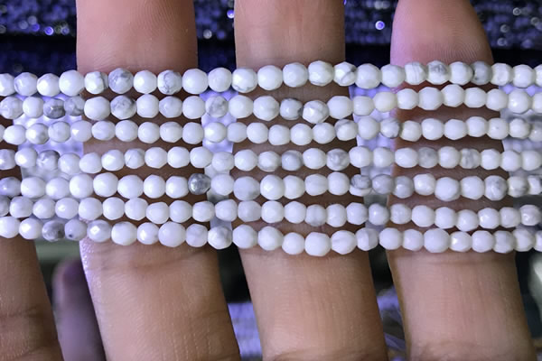 CTG1170 15.5 inches 3mm faceted round tiny white howlite beads