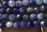 CTG1192 15.5 inches 3mm faceted round tiny blue spot stone beads