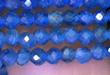 CTG1195 15.5 inches 3mm faceted round tiny apatite gemstone beads